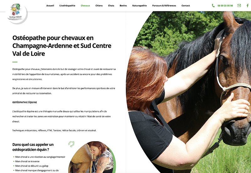 Capture d'écran d'une page du site dédié aux chevaux