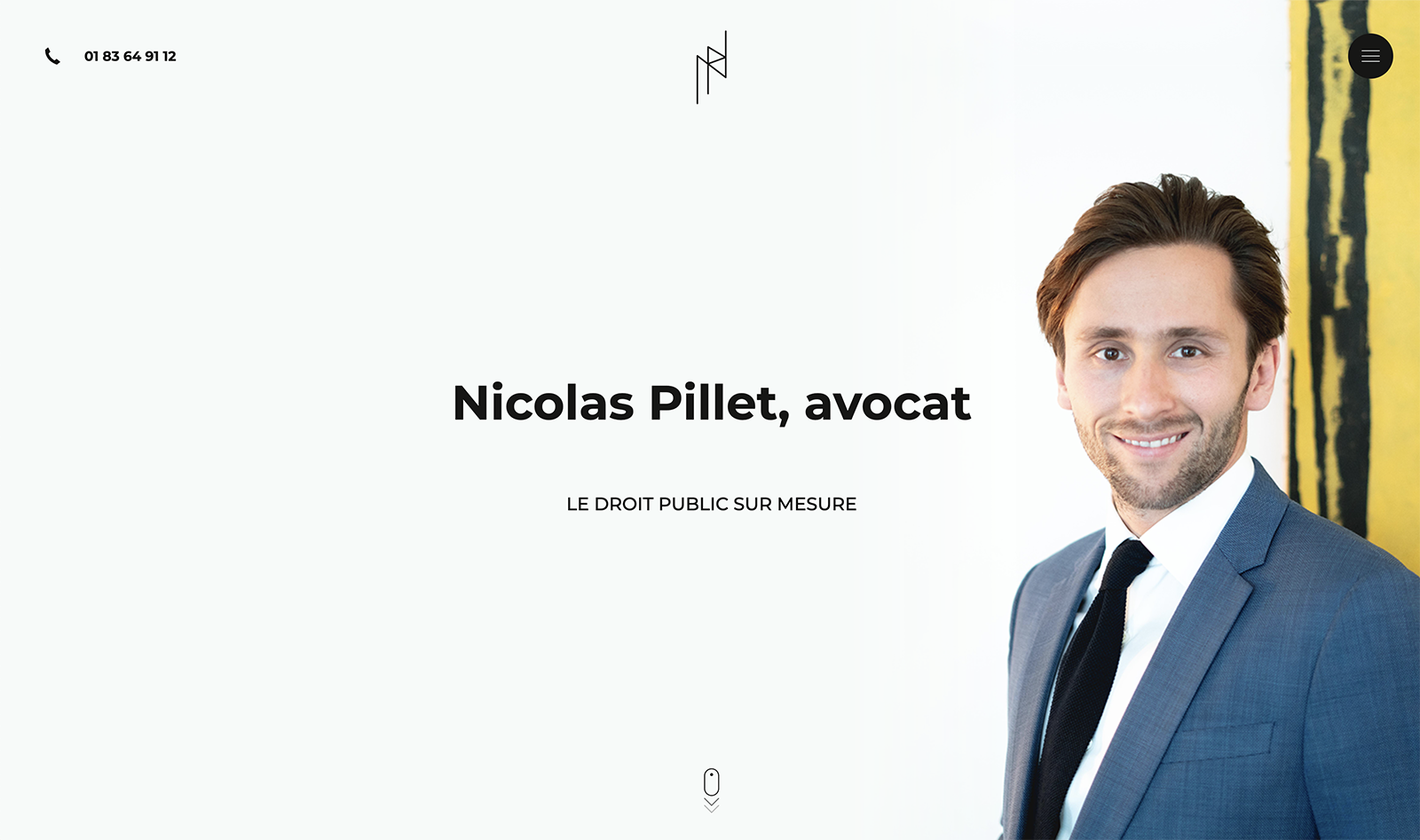 Capture du site internet Nicolas Pillet